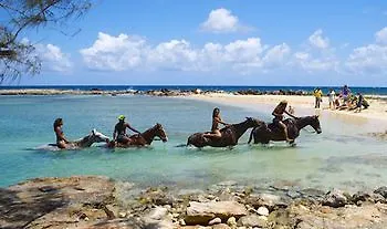 Ocho Rios Villa At Coolshade Priory 3*,